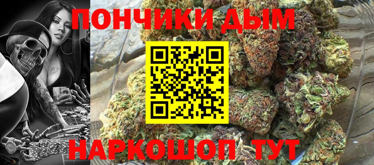 Каннабис индика  Конопля сатива  Уссурийск  Марихуана марихуана  Вход с VPN 